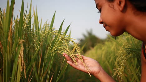 teenage-girl-inhaling-the-aroma-of-basmati-rice-in-crop-field