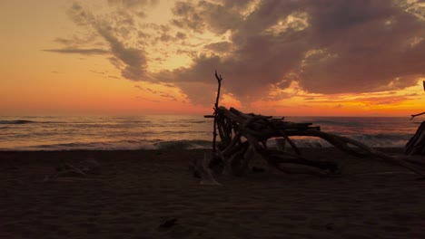 Vibrant-aerial-drone-footage-of-driftwood-tipis-at-the-shore-of-a-sand-beach-seaside-coast-at-Maremma-National-Park-in-Tuscany,-Italy-with-dramatic-red-and-yellow-sunset-cloud-sky-and-ocean-waves