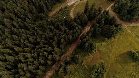 Aerial-top-down-shot-Countryside-Vast-Pine-forest-reveal---Slovakian-Nature-Landscape