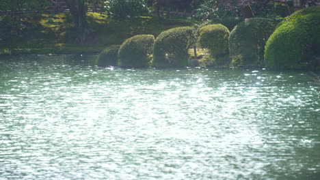 Agua-Reluciente-En-El-Estanque-En-Un-Día-Soleado-En-El-Jardín-Kenroku-en-En-Kanazawa,-Ishikawa,-Japón