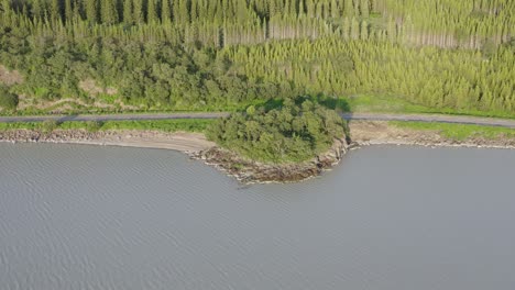 Hallormsstaður-Nationalwald-In-Island-Am-Ufer-Des-Sees-Lagarfljót,-Landschaftlich-Reizvolle-Straße