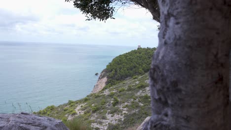 Tree-trunks-concealing-a-view-of-a-wooded-sea-cliff-with-a-tower,Spain