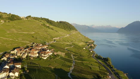 Aerial-View-Of-Local-Houses-In-Epesses-Village-Surrounded-With-Green-Vineyards-In-Switzerland