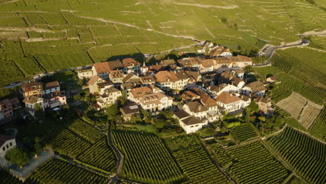 Beautiful-Small-Village-of-Epesses-in-the-Lavaux-vineyards-Of-Switzerland---Aerial-shot