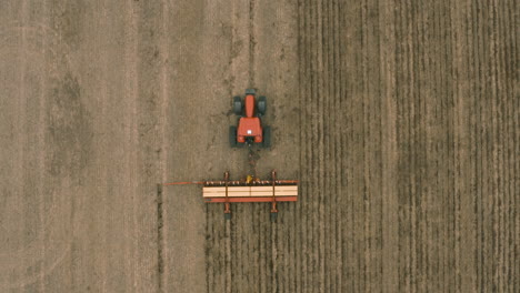 AERIAL---Harvester-tractor-cultivating-land,-agriculture-field-at-dawn,-top-down