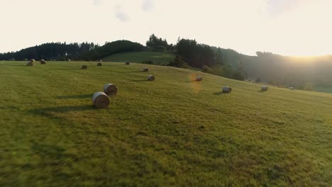 Scattered-round-hay-bales-on-green-meadow-on-farm,-sunset-drone-flight