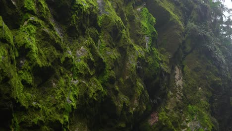 Rocas-Con-Musgo-En-La-Selva-Tropical-Dentro-De-Las-Montañas