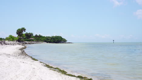 Beruhigender-Und-Entspannender-Blick-Auf-Einen-Einsamen-Strand-Mit-Einigen-Palmen,-In-Einer-Schönen,-Tropischen-Und-Sommerlichen-Szenerie-In-Florida