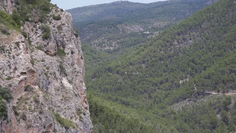 Vulture-circling-next-to-a-rocky-cliff-in-wooded-mountain-valley,Spain