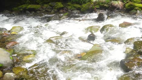 river-running-in-between-the-rocks-in-the-tropical-mountain