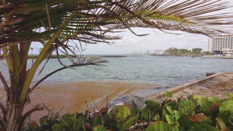 Overlooking-hotel-high-rises-across-Boqueron-Bay,-San-Juan,-Puerto-Rico