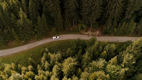 White-car-driving-on-road-snaking-through-dense-forest,-overhead-view
