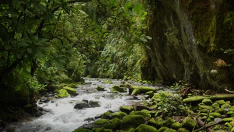 Kaskadierender-Fluss,-Der-Neben-Moosigen-Felsen-Und-Grünen-Bäumen-Durch-Den-Regenwald-Fließt