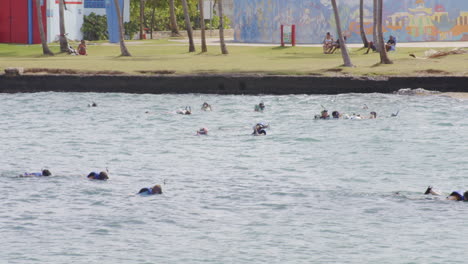Group-of-people-enjoying-snorkel-activity-during-vacations-at-Punta-Escambron,-San-Juan,-Puerto-Rico