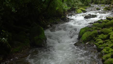 Kaskadierender-Fluss,-Der-Neben-Bemoosten-Felsen-Und-Bäumen-Durch-Den-Regenwald-Fließt