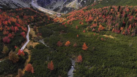 Stunning-fall-colors-in-valley-of-Carpathian-Mountains,-Slovakia