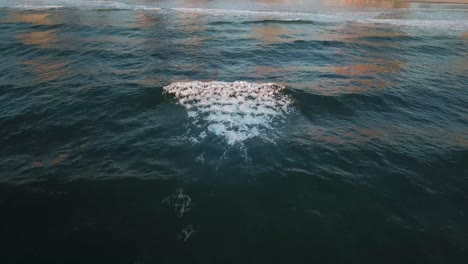 Drone-aerial-shot-during-sunrise-over-waves-with-people-walking-on-beach