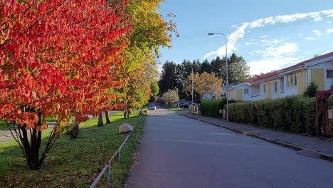 Street-during-Autumn-with-Trees-Full-of-Red,-Orange,-Yellow-and-Green-Leaves