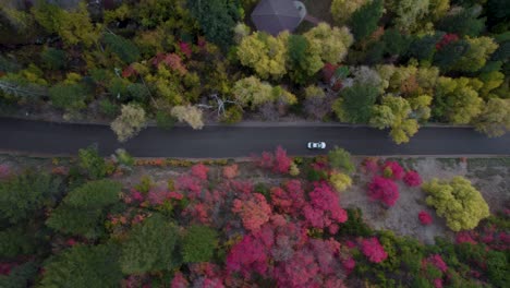 Aerial-Top-Down-View-Of-Cars-Driving-Mountain-Road-With-Autumn-Colors