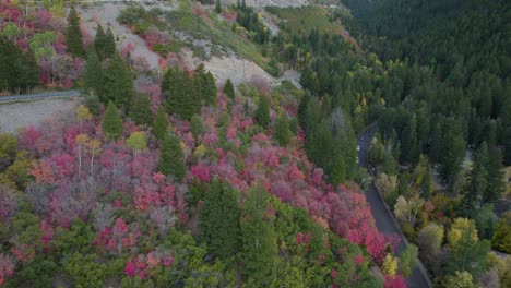 American-Fork-Canyon-in-fall,-colorful-mountain-forest-trees,-Utah-Wasatch-Range