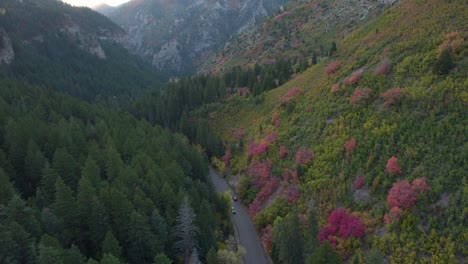 Aerial:-American-Fork-Canyon-trees-in-autumnal-colors,-Utah's-Wasatch-Range