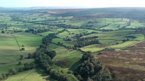 North-York-Moors,-Robin-Hoods-Bay,-Glaisdale-Dale-summer,-Clip-2,-Movement:-Pull-back-from-dale-to-moors-Video,-4K,-25fps,-H264-DJI-Inspire-2