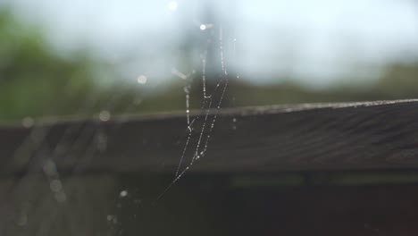 Closeup-Shot-Of-Water-Reflecting-On-Spider-Web,-Outdoor-Nature