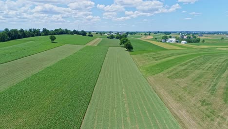Eine-Luftaufnahme-Der-Farmlandschaft-Mit-Bepflanzten-Feldern-Und-Weiden-An-Einem-Schönen-Sonnigen-Tag