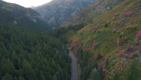 Hermosa-Carretera-Del-Valle-De-La-Montaña-En-El-Cañón-De-La-Bifurcación-Americana,-Utah---Antena