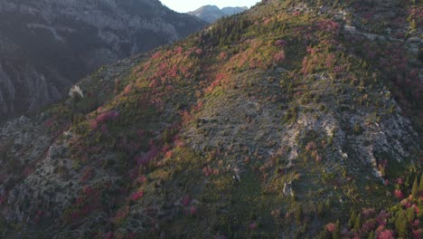 Aerial-Autumn-Colours-Of-American-Fork-Canyon,-Wasatch-Mountains,-Utah