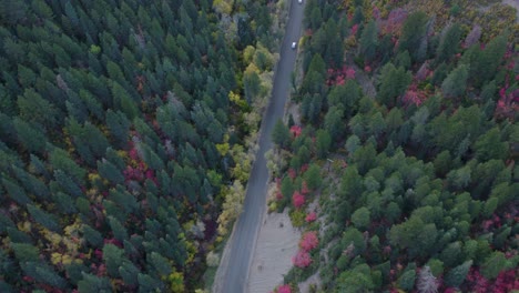 Talstraße-Mit-Hübschen-Herbstfarben-In-Den-Wasatch-bergen-Von-Utah