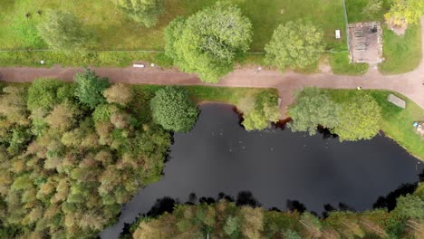 Park-Pond-Scene-of-People-Jogging-and-Walking-in-a-Dirt-Track,-Aerial