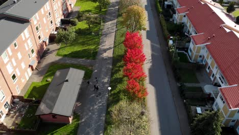 Aerial-of-Lined-up-Trees-with-Red,-Orange-and-Yellow-Autumn-Leaves-Between-Buildings