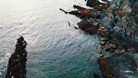 Top-aerial-drone-view-of-ocean-waves-splash-against-rocks-in-Brittany,-France-Bretagne