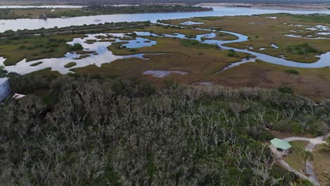 Flying-through-swamp-forest-in-South-Florida-beautiful-Matanzas-river-in-the-distance