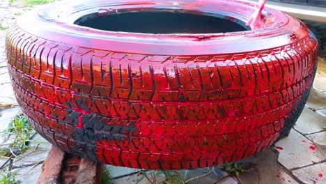Reusing-old-abandoned-car-tire-as-planter