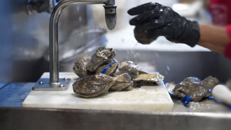 Worker-washes-live-oysters-under-running-water,-hands-clean-fresh-oysters-at-prep-sink,-slider-HD