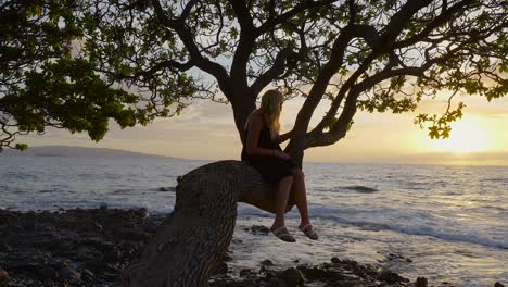 Mädchen-Im-Baum-Bei-Sonnenuntergang,-Maui-Hawaii