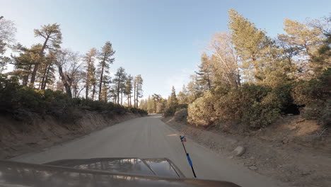 Driving-on-an-empty-road,-passing-through-a-mixed-forest
