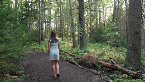 Fair-casual-dress-black-haired-girl-walks-away-in-sunlight-forest,-slow-motion