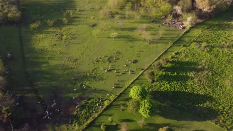 Aerial-forward-descending-over-green-farm-with-many-kinds-of-animals