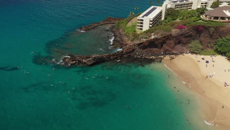 Rotating-aerial-view-of-snorkelers-at-Black-rock-in-front-of-the-Sheraton-hotel-on-Kaanapali-beach-in-Maui-Hawaii