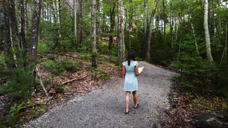 Beautiful-wide-angle-of-a-young-woman-reading-a-map-while-she-treks-through-a-forest