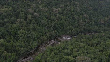 Paisaje-Verde-De-Bosque-Con-Río-Que-Fluye-En-Mossman-Gorge-En-El-Condado-De-Douglas,-Queensland,-Australia