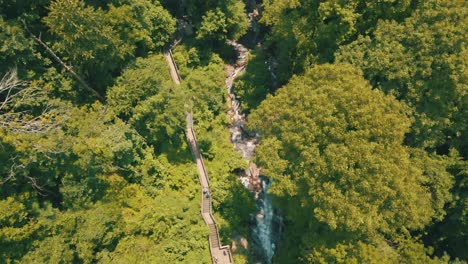 Beautiful-drone-footage-of-people-walking-on-a-footbridge-alongside-a-fast-moving-river-in-a-large-green-forest