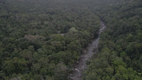 Felsiger-Fluss-Der-Mossman-Schlucht-Umgeben-Von-Weitläufigen-Grünen-Wäldern-In-Der-Shire-Of-Douglas,-Qld,-Australien