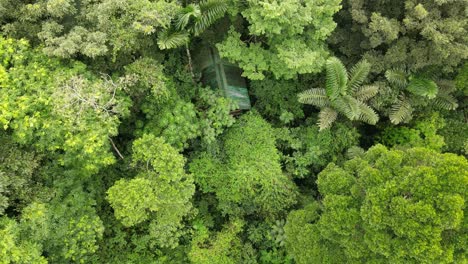 Aerial-view-tilting-up-shot,-Scenic-view-of-La-Tigra-rainforest-in-Costa-Rica,-on-a-bright-sunny-day