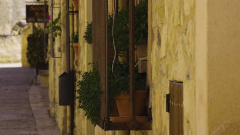Potted-Ornamental-Plants-On-The-Exterior-Wall-Of-Traditional-Houses-In-Pedraza,-Segovia,-Spain