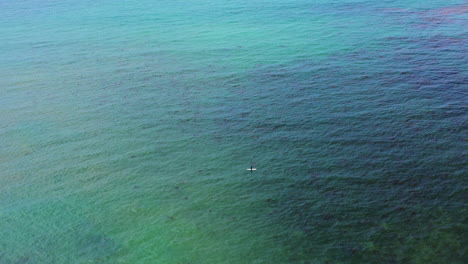 Ein-Einsamer-Surfer-Sitzt-Auf-Seinem-Surfbrett-Und-Wartet-Auf-Eine-Welle-Wie-Eine-Spec-In-Der-Weiten-Ozeanoberfläche---Luftbild
