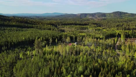 Lush-Green-Forest-At-The-Rural-Landscape-Of-Äppelbo-Village-In-Dalarna,-Sweden